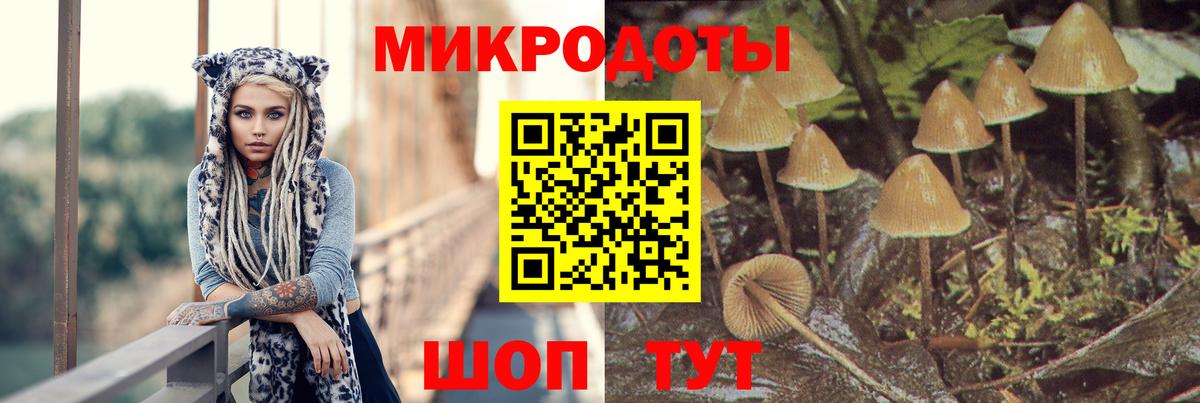 Вязьма  Галлюциногенные грибы GOLDEN TEACHER  Галлюциногенные грибы GOLDEN TEACHER  Вход с VPN 